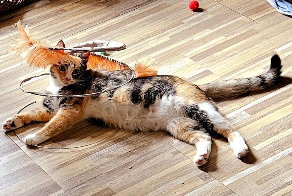 Image uploaded by Rae