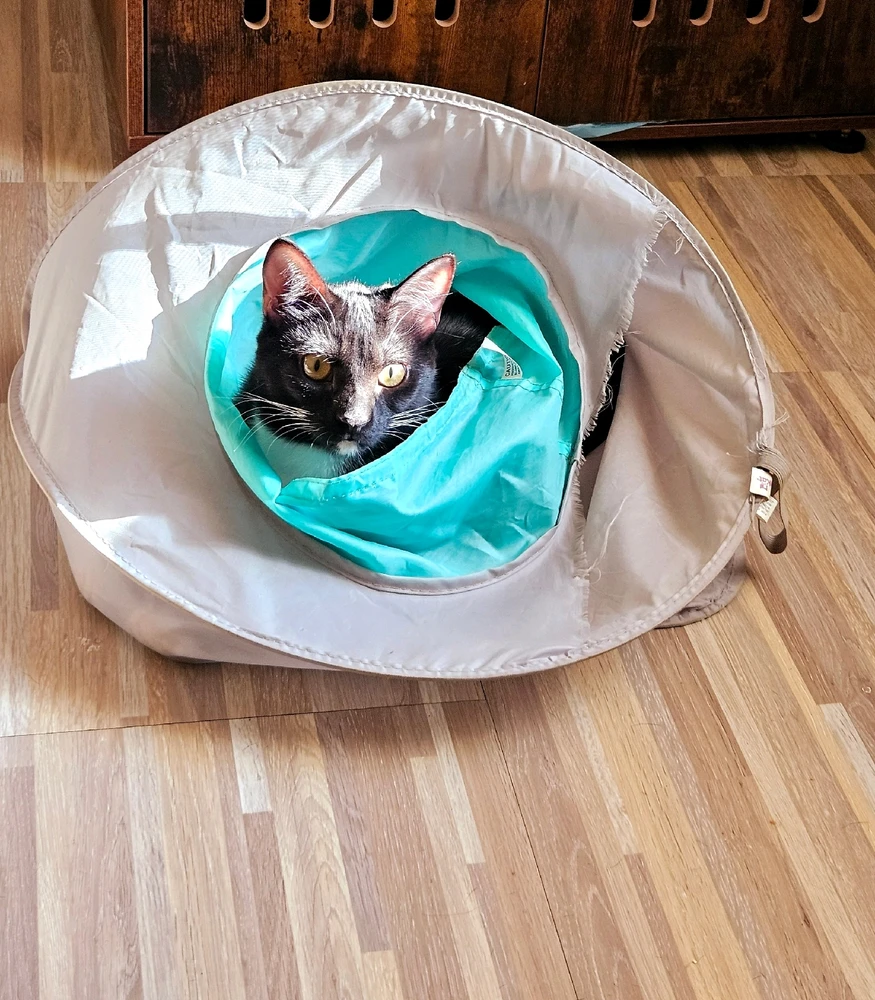 Image uploaded by Rae