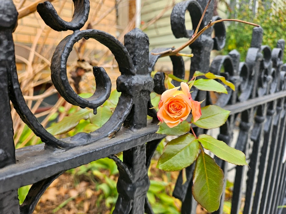 Thought this looked really pretty and artsy.