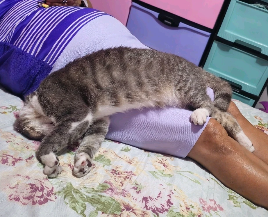 Poses raras para dormir