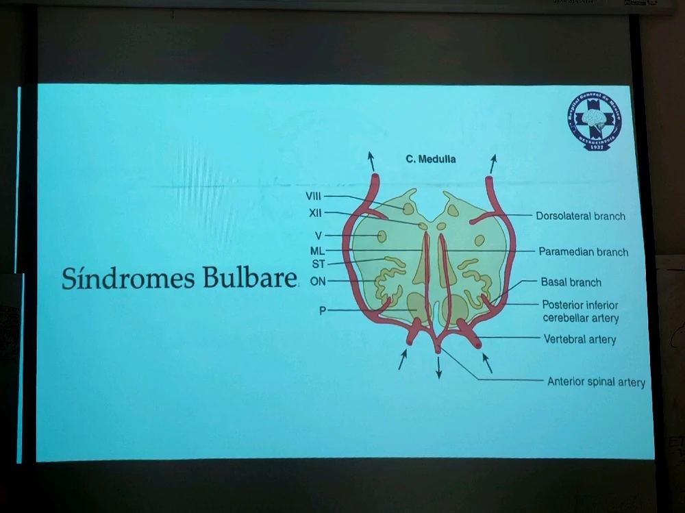 I love this little life