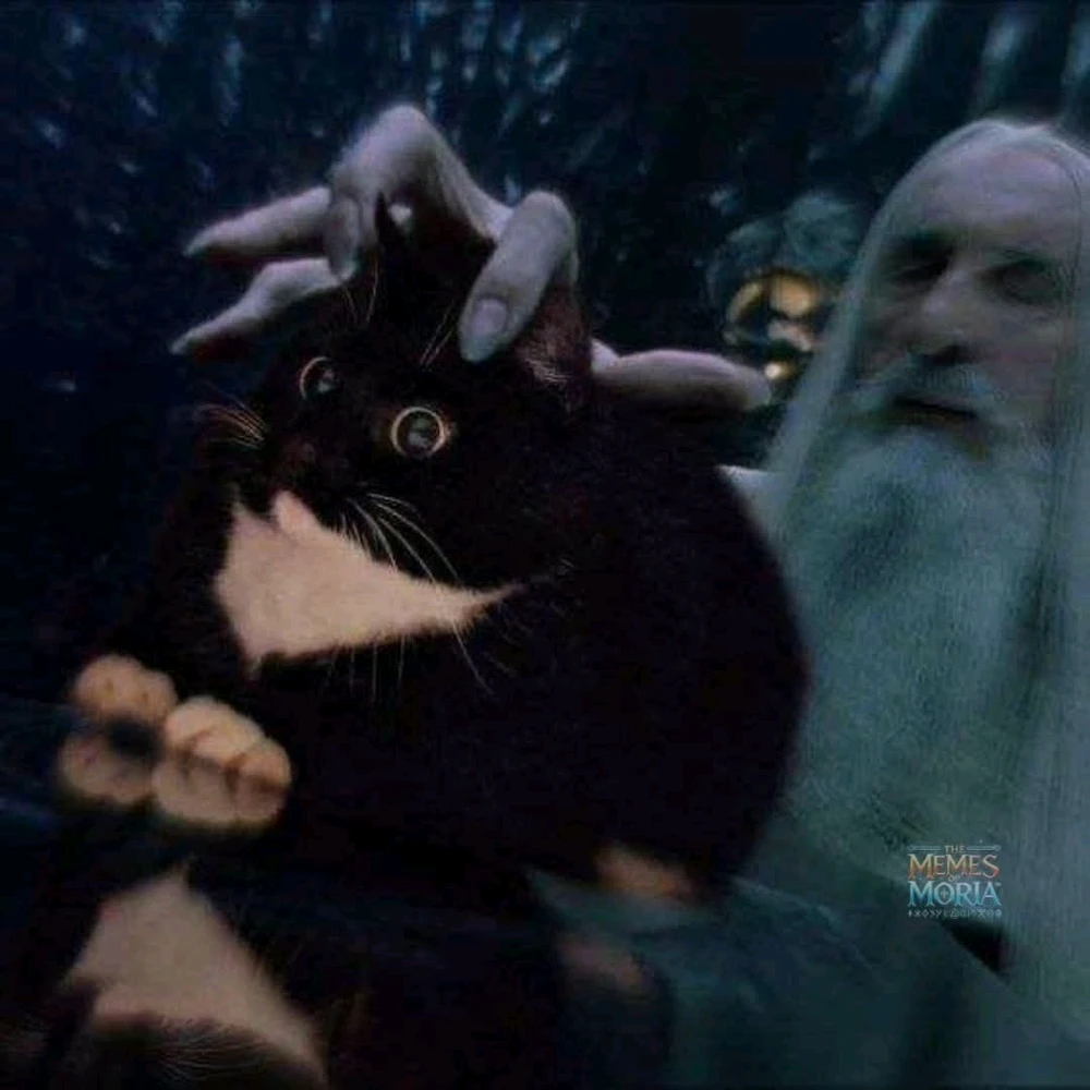 GIF uploaded by Shany