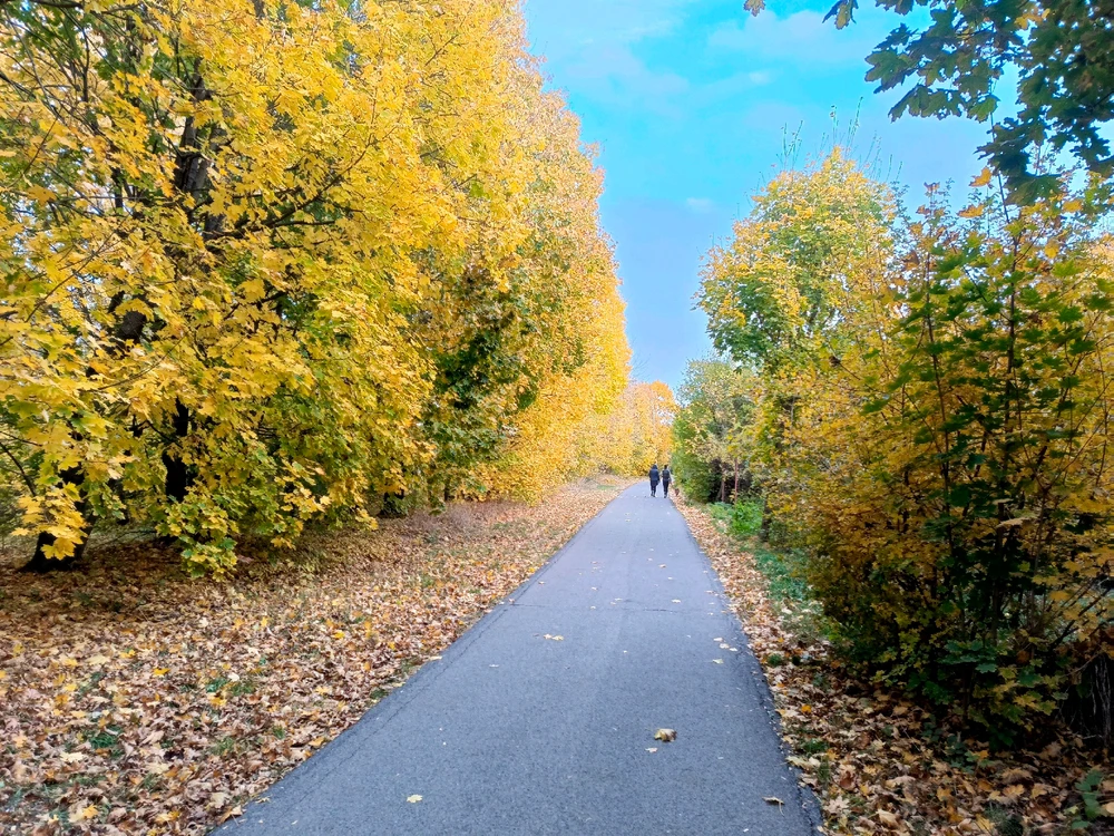 GIF nahral Vlastimil