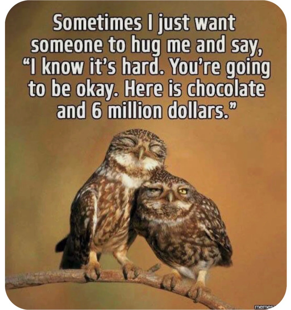 🦉🤗🍫💰