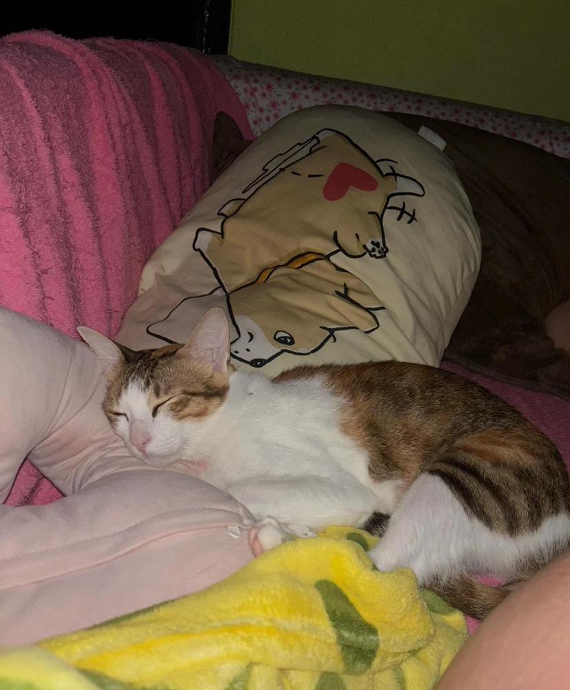 Taking too much space!!!