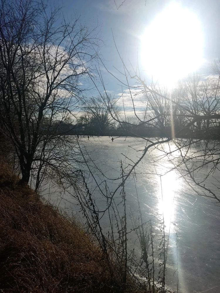 GIF nahral Vlastimil