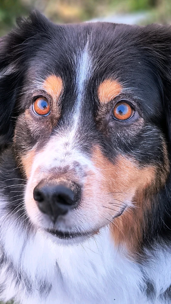 Diese wunderschönen Augen 😍