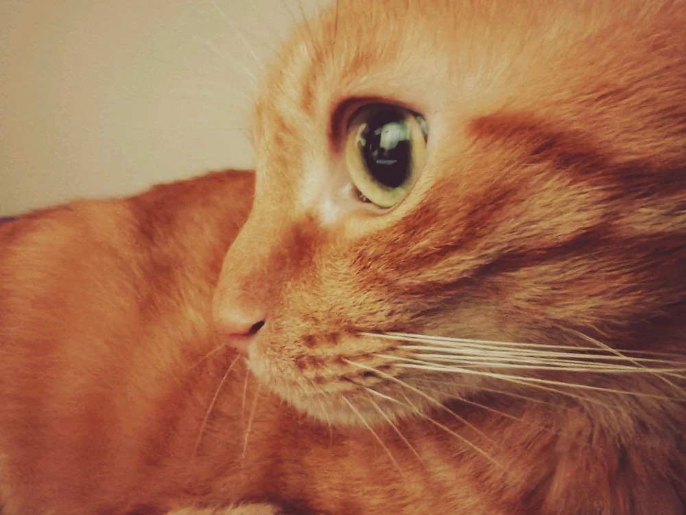 GIF ανέβηκε από Μάριος