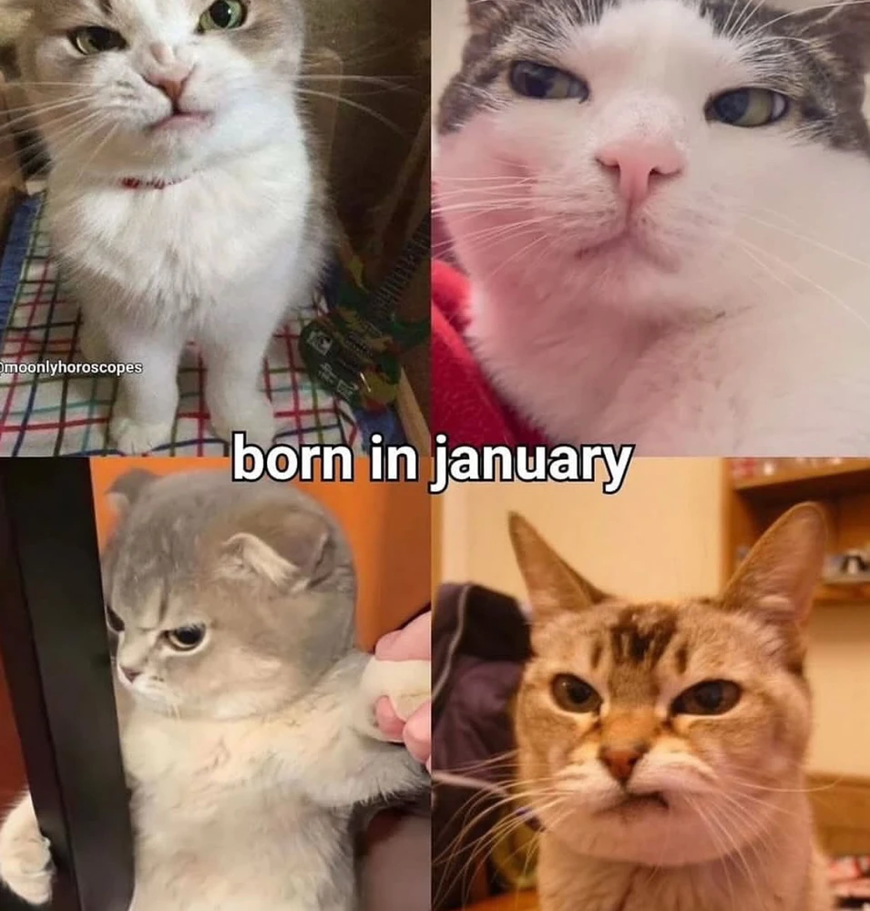 Obrázek nahrál Irónia