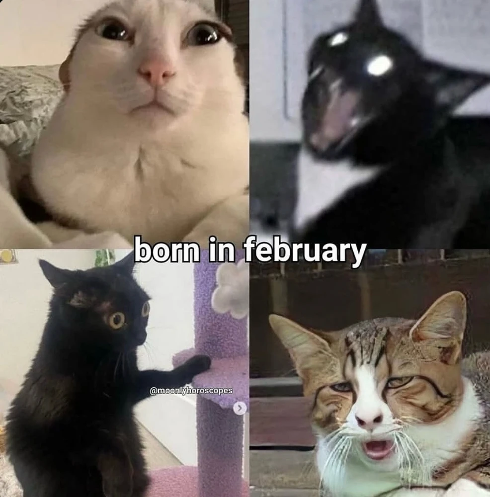 Obrázek nahrál Irónia