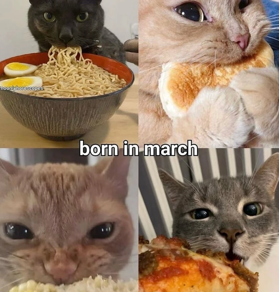 Obrázek nahrál Irónia