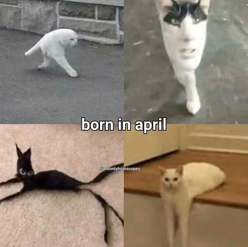 Obrázek nahrál Irónia