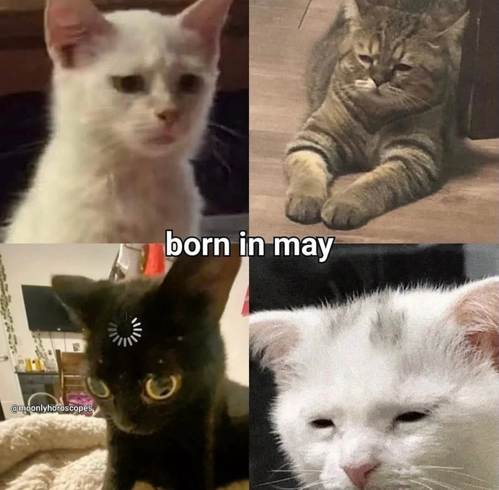 Obrázek nahrál Irónia