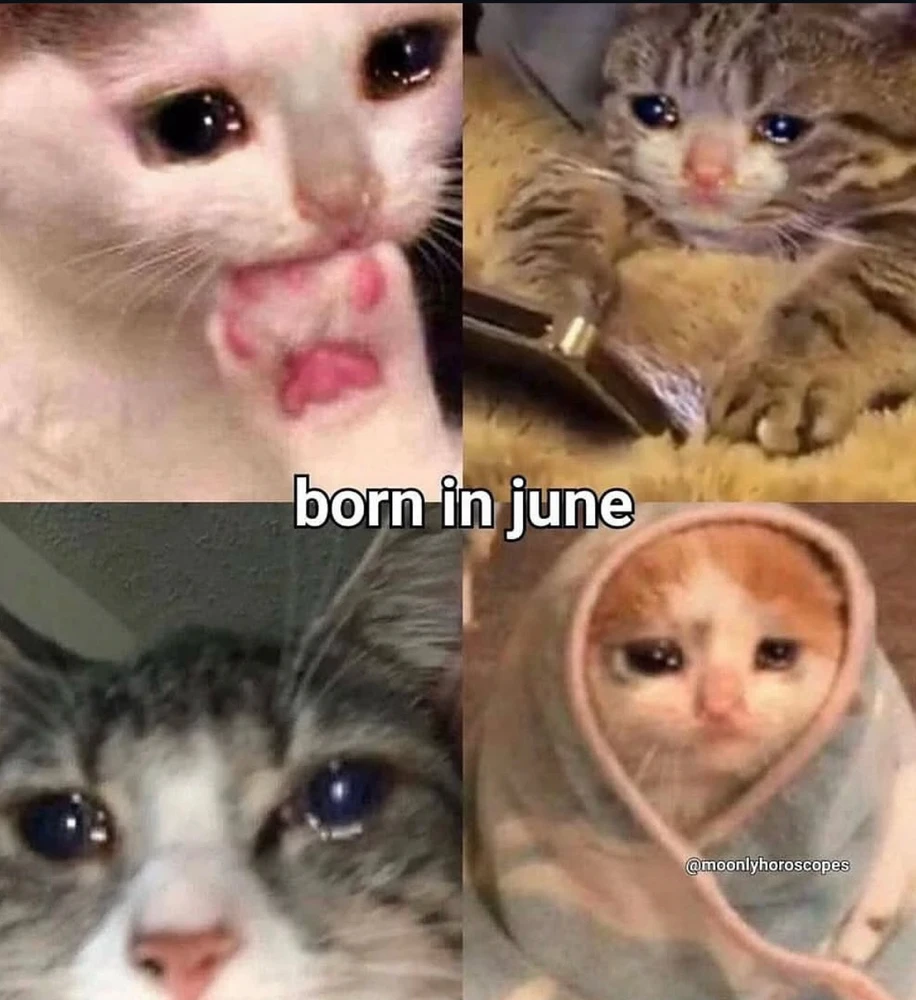 Obrázek nahrál Irónia