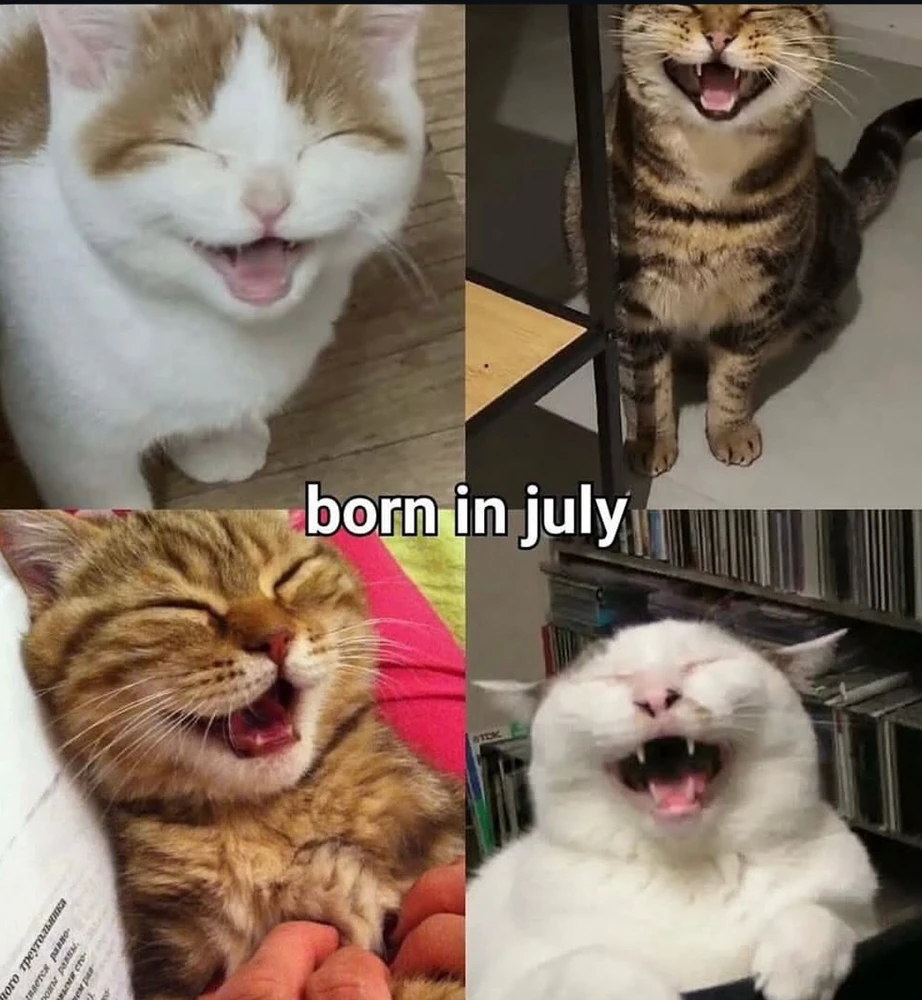 Obrázek nahrál Irónia