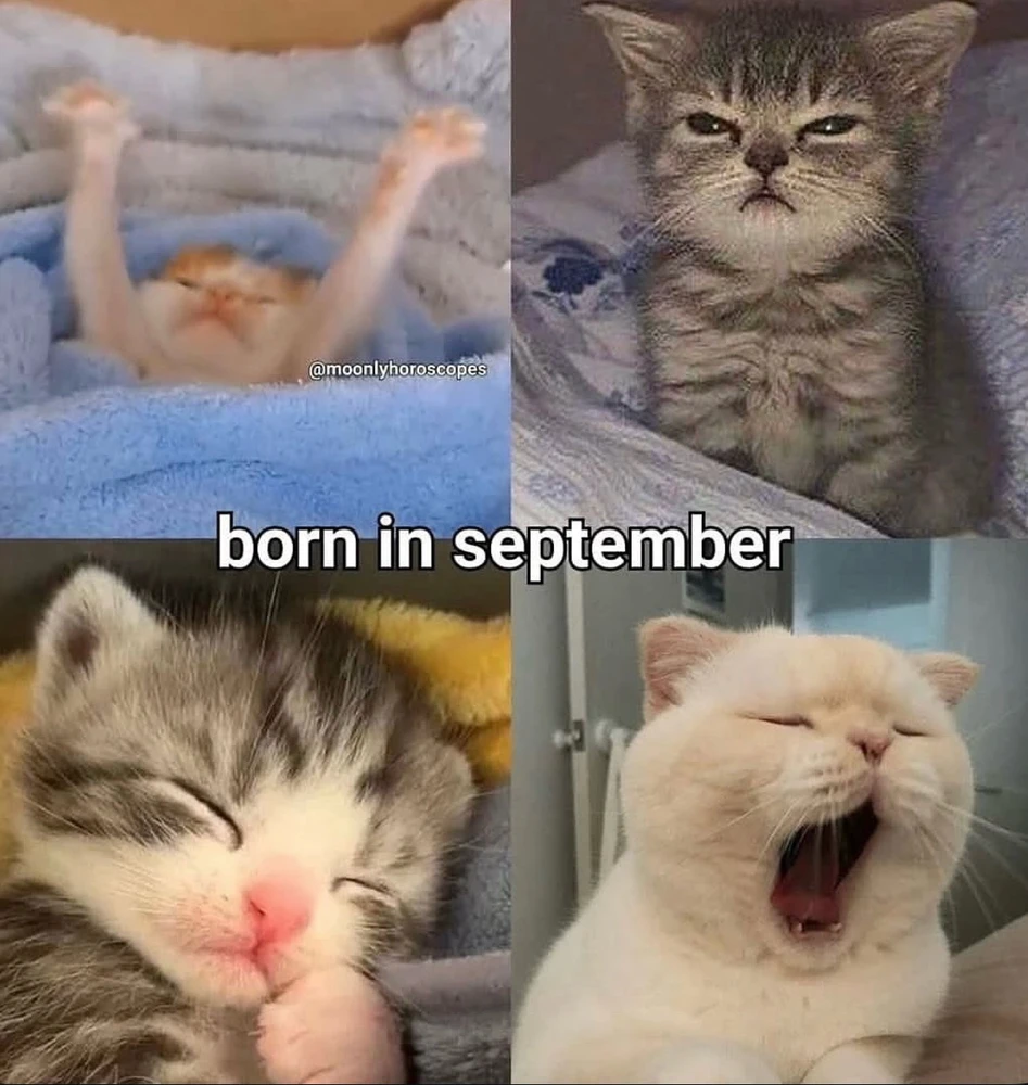 Obrázek nahrál Irónia