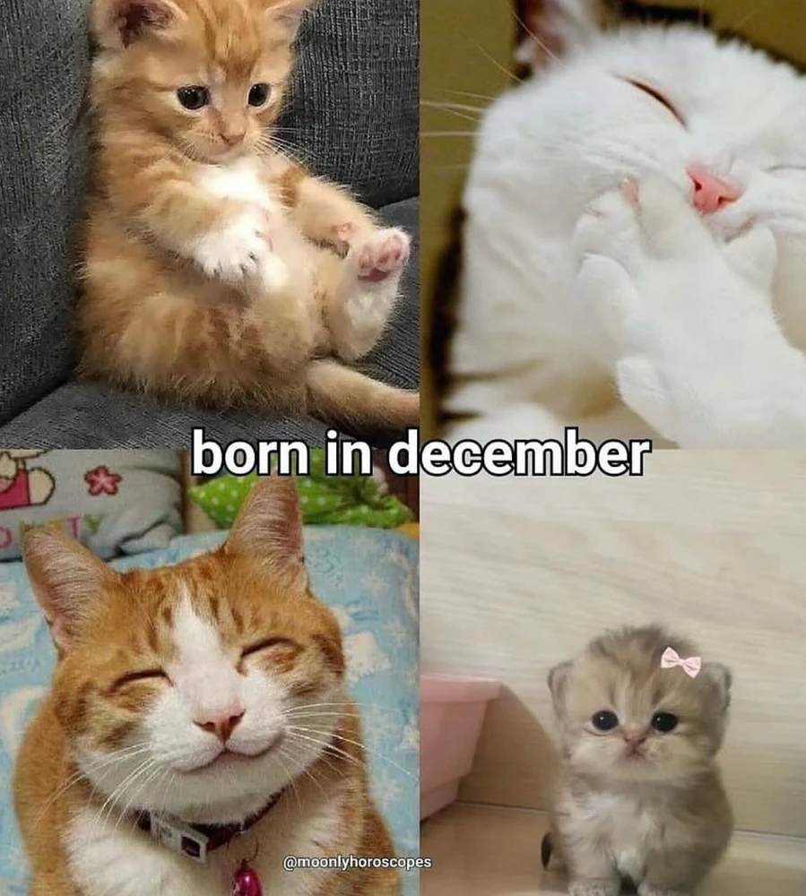 Obrázek nahrál Irónia