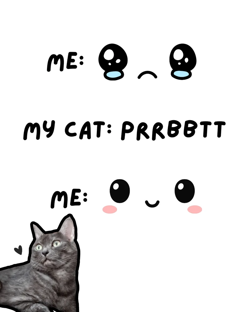 I made a meme of my cat.