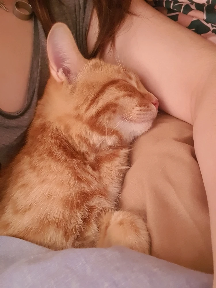 Image uploaded by Nikole