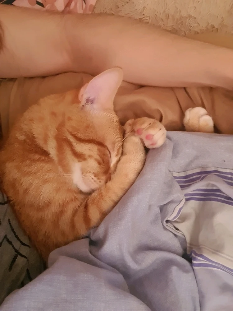 Image uploaded by Nikole