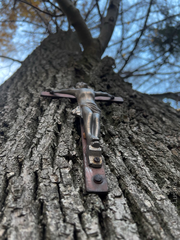 Lost somewhere but still aiming to look up.