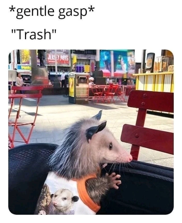 Don't touch my trash