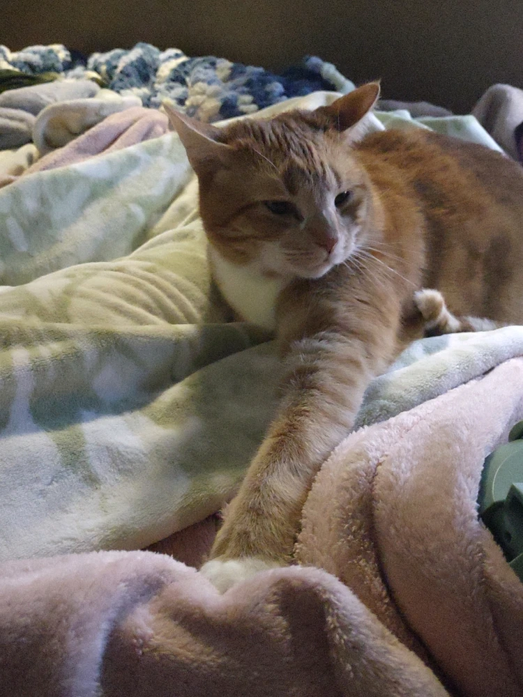 Not a moment of peace when I have food