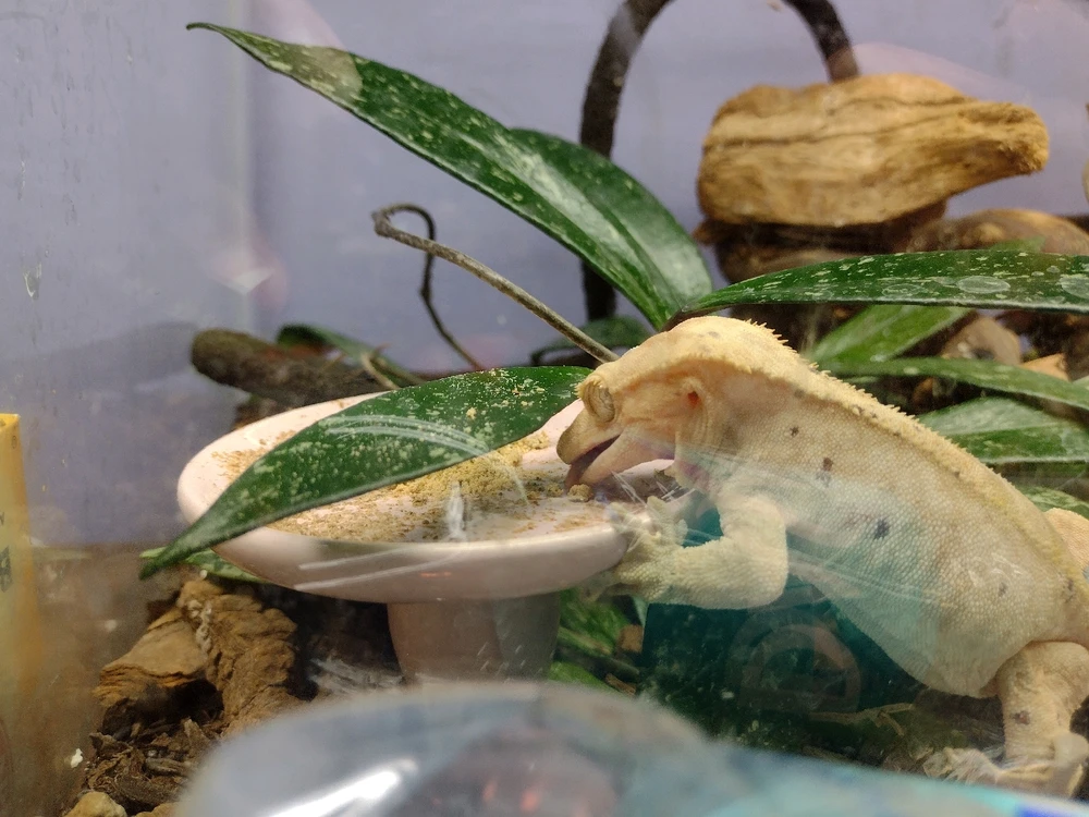 GIF uploaded by Savannah