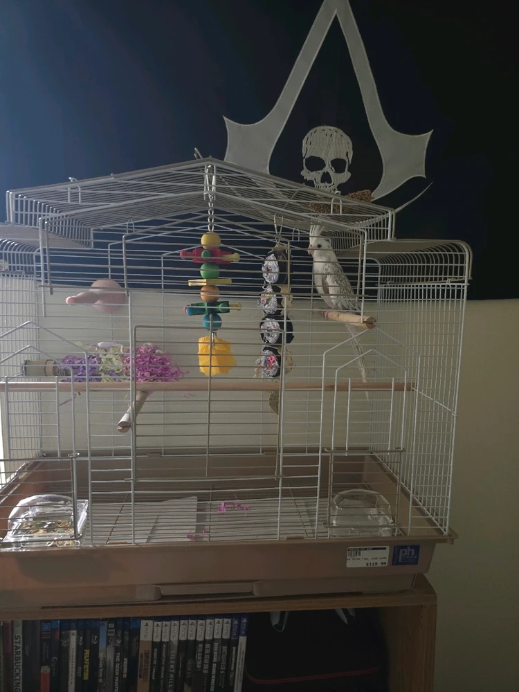 My emotional support animal