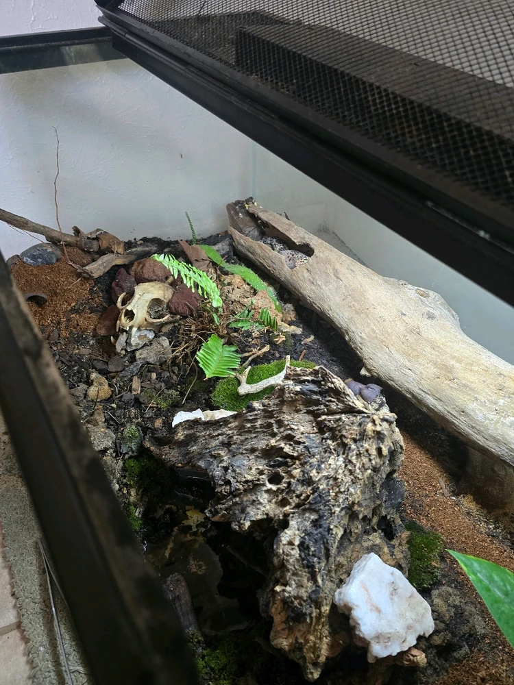 Image uploaded by Gabby