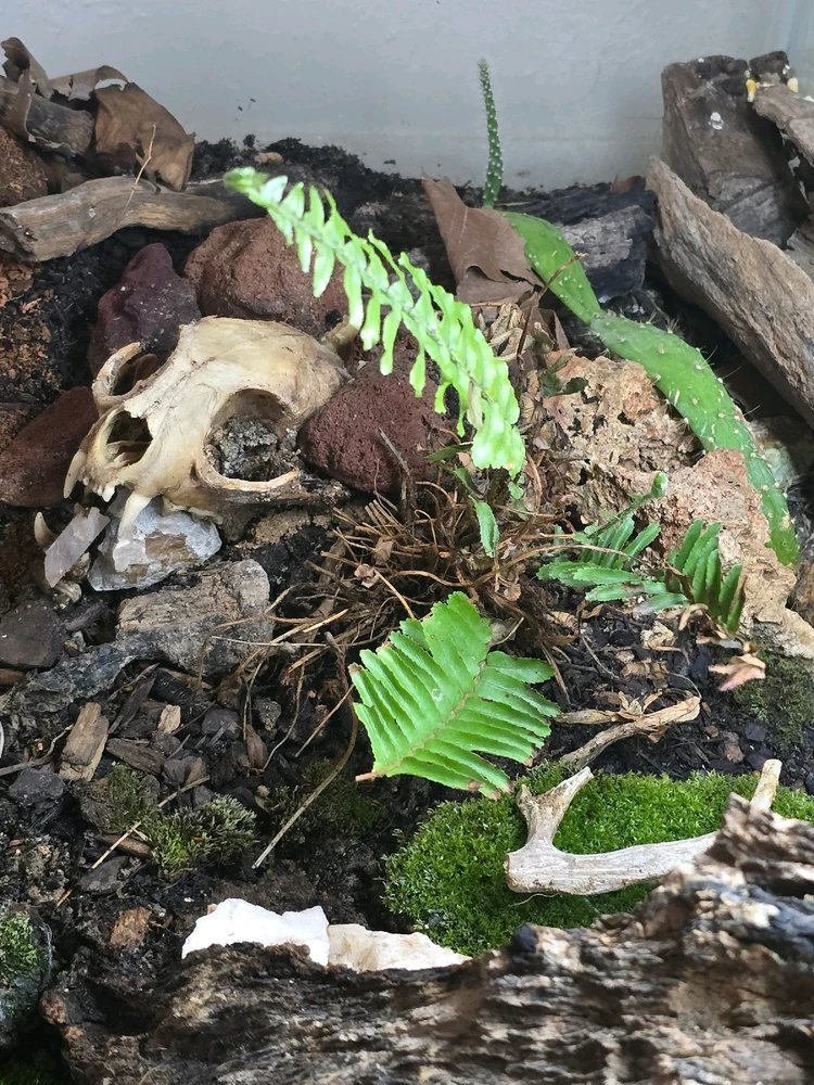 Image uploaded by Gabby