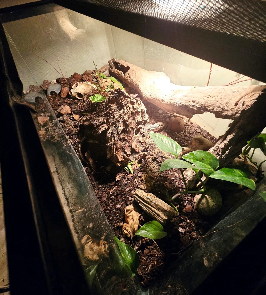 Image uploaded by Gabby