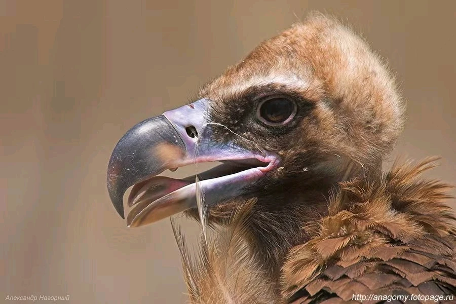 GIF uploaded by Alex