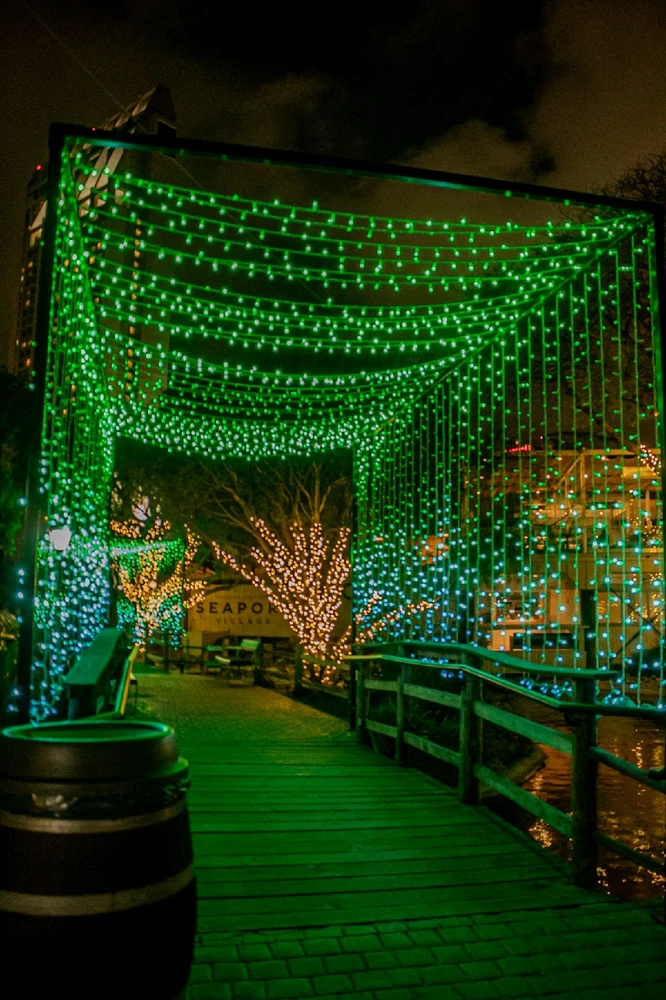 Image uploaded by Christopher