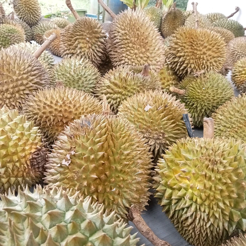 GIF diunggah oleh Ayu