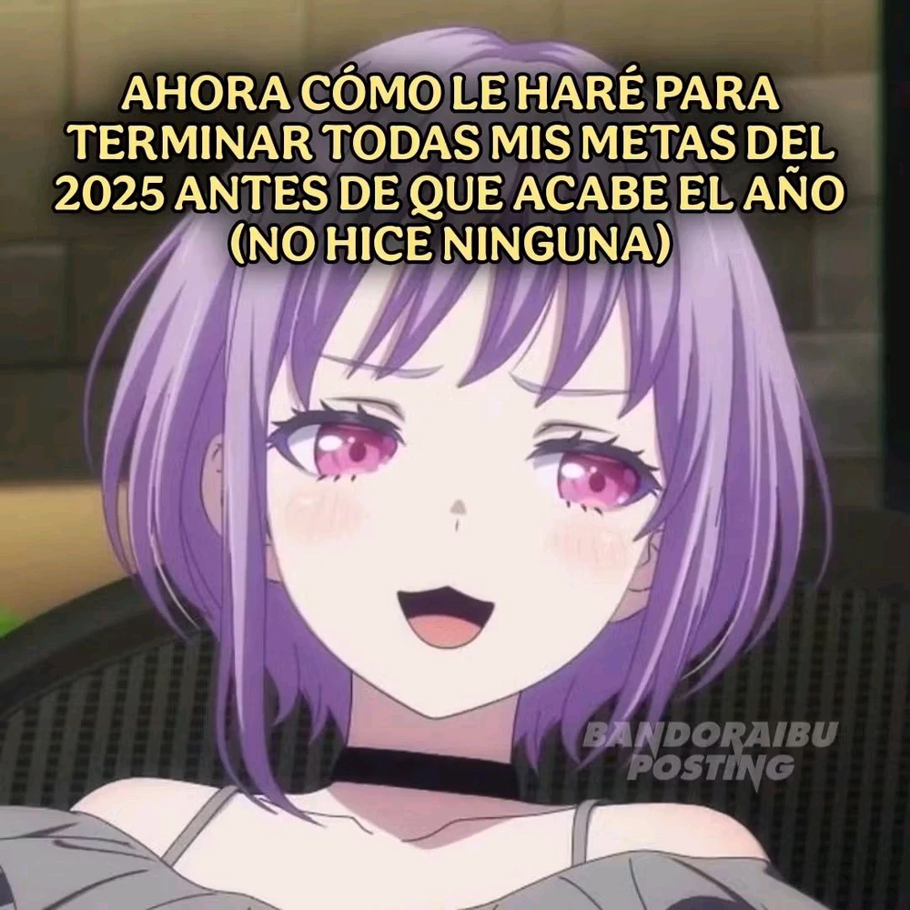 Propósitos 2025