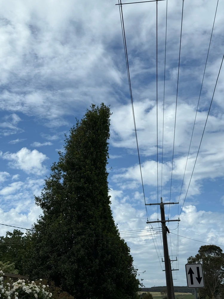 GIF uploaded by Shan