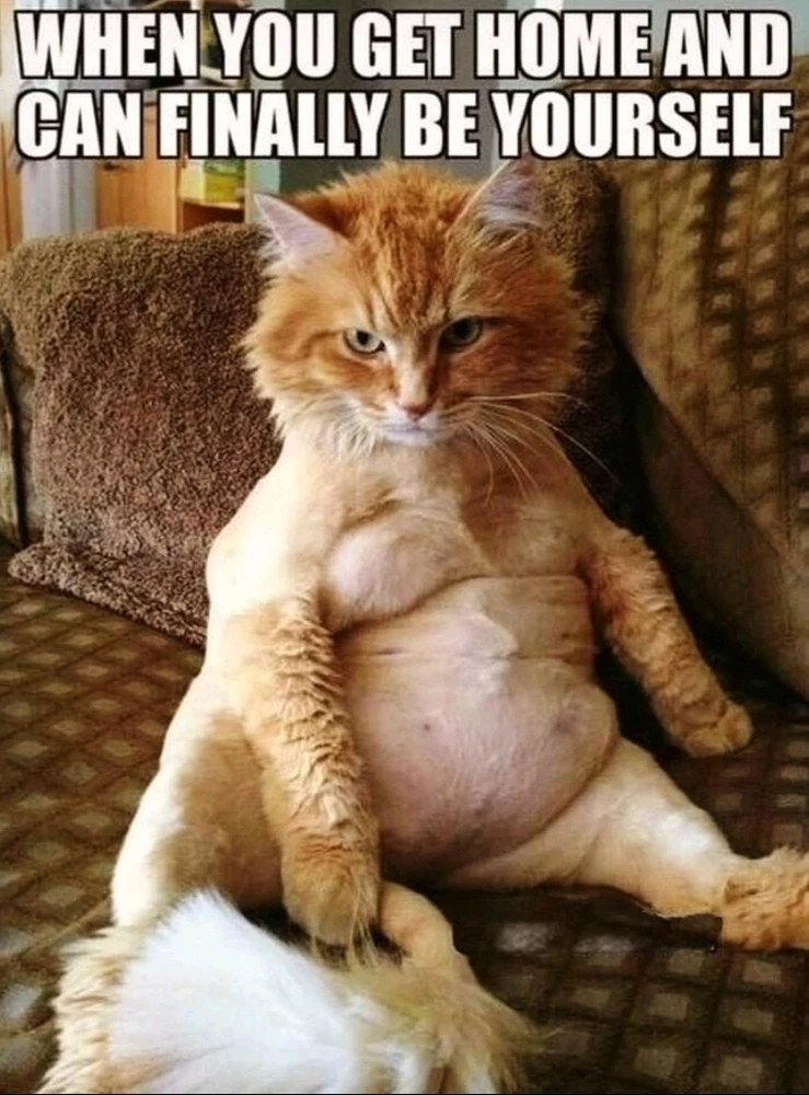 GIF uploaded by 🔆🥨🔅Koffy🔅🌰🔆