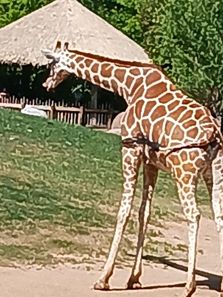 Image uploaded by Christopher