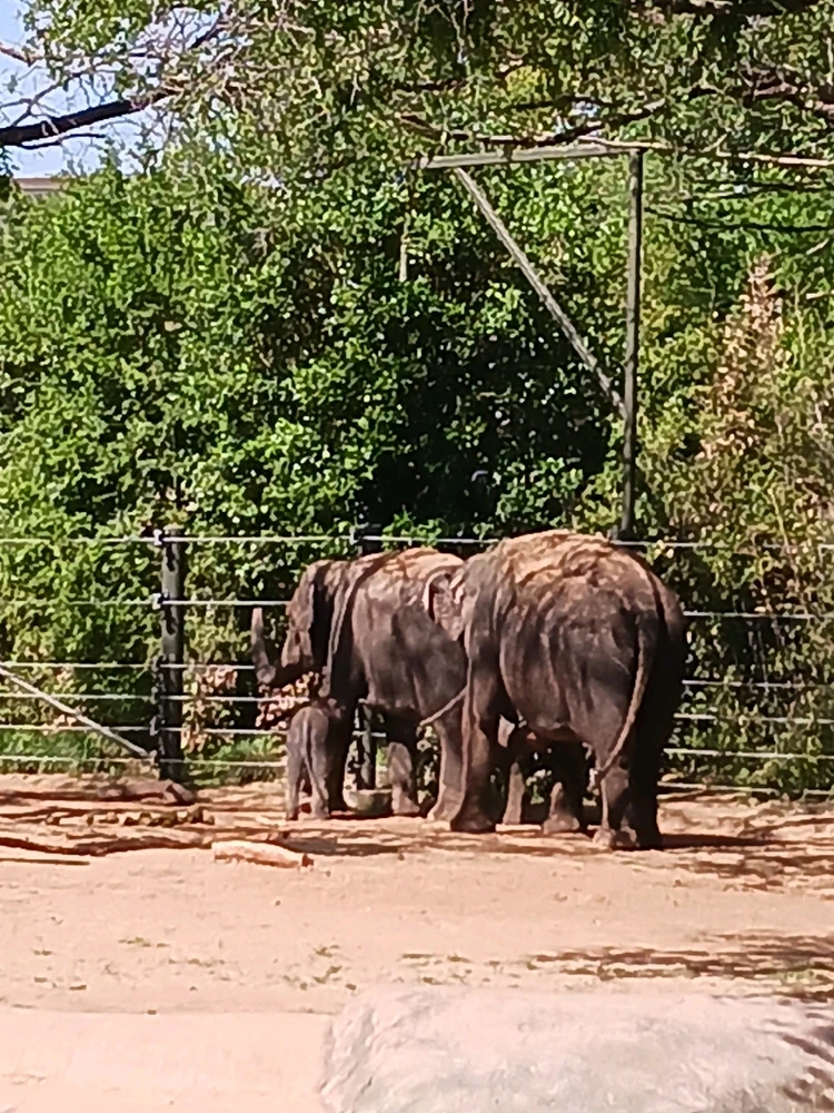 Image uploaded by Christopher