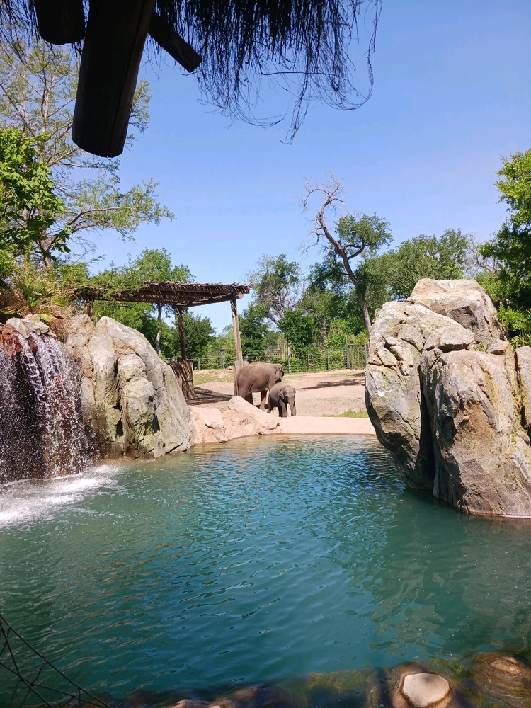 Image uploaded by Christopher