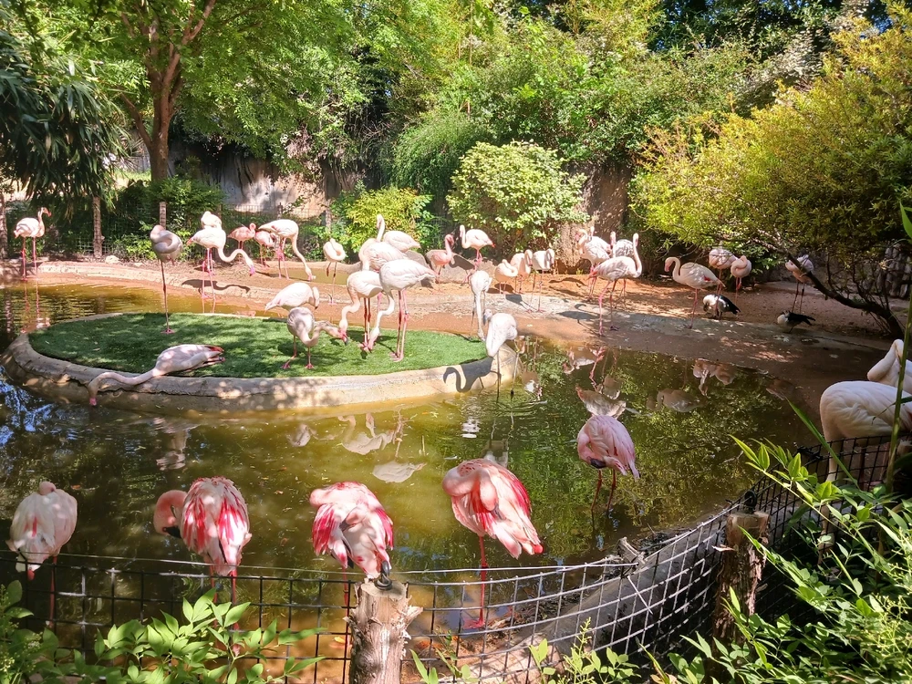 Image uploaded by Christopher