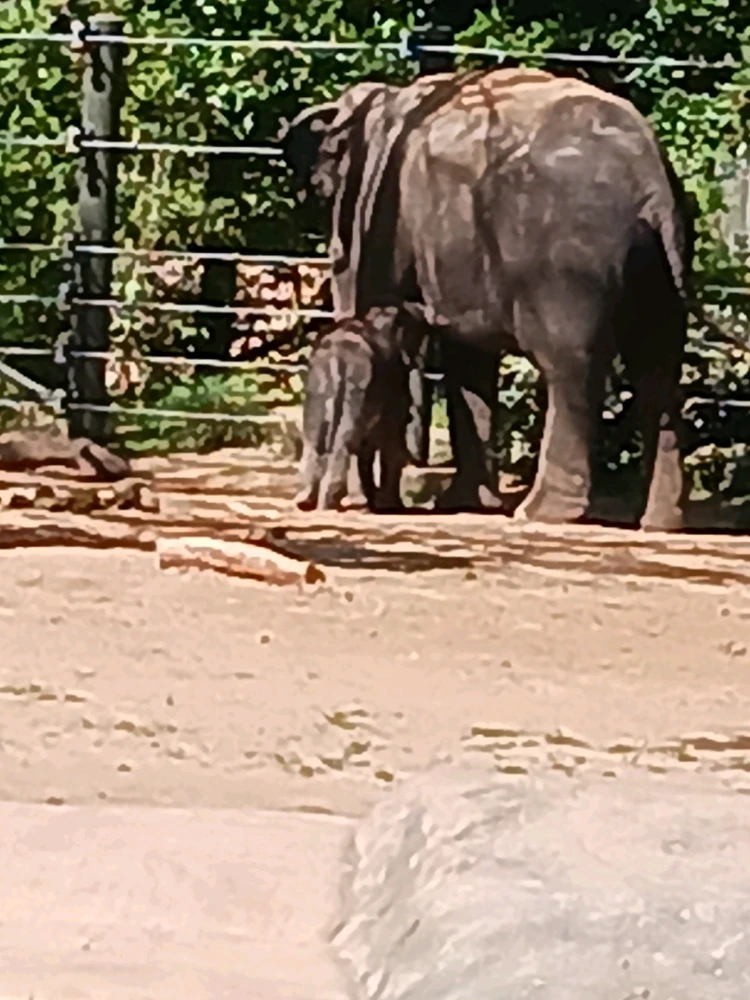 Image uploaded by Christopher