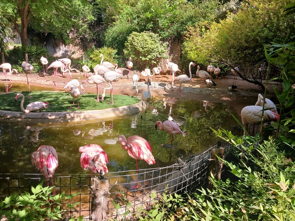 Image uploaded by Christopher