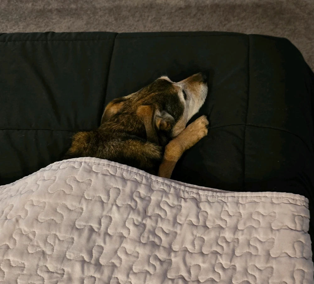 GIF uploaded by Jamie