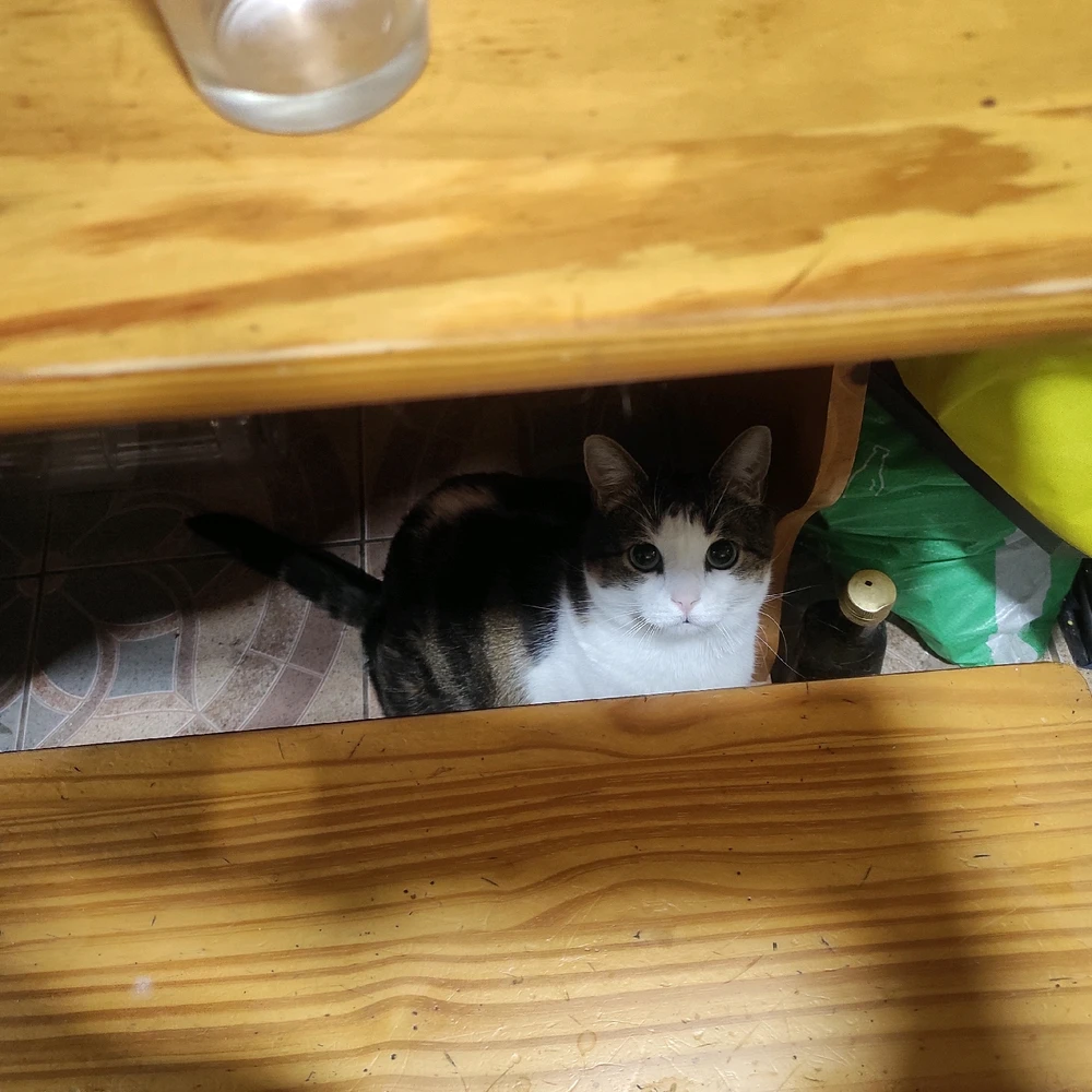 Alguien pesca esto realmente? Foto para no morir olvidado