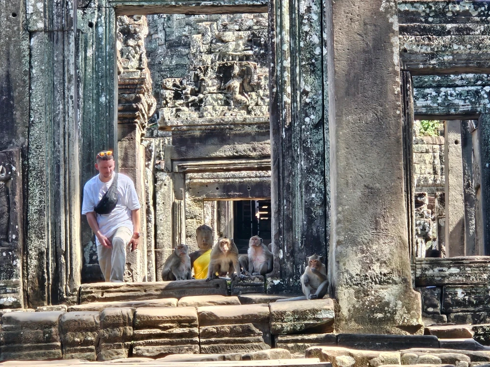 Image uploaded by Ambivert