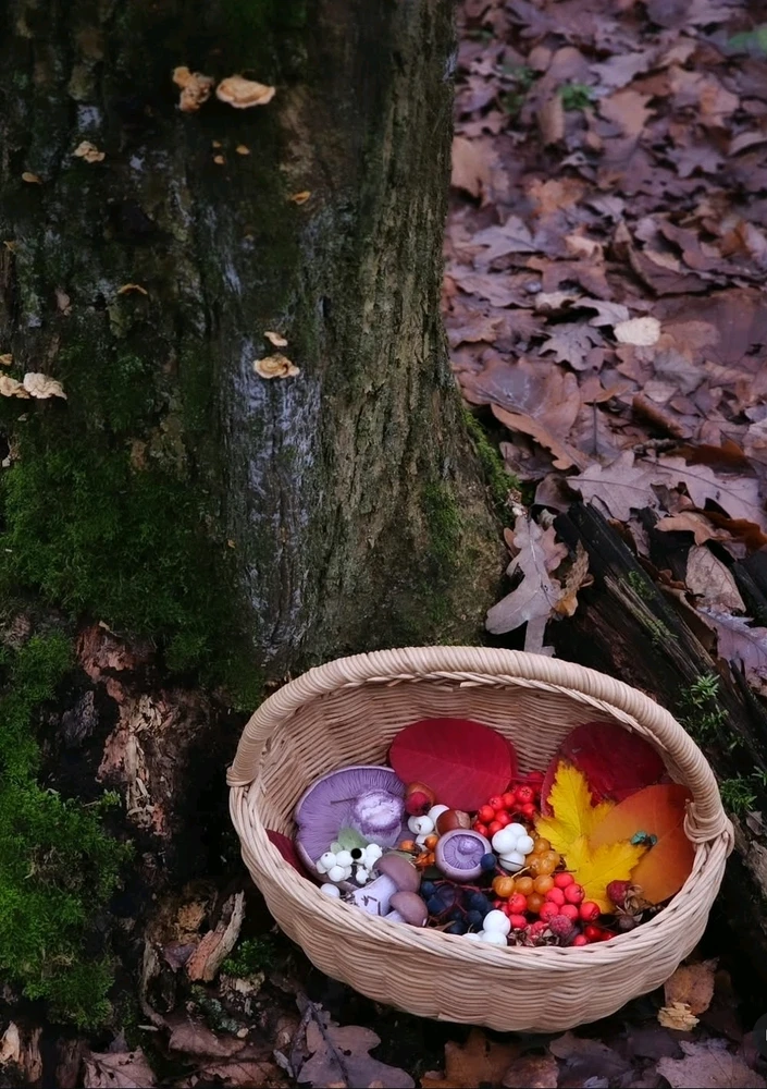 Image uploaded by 🔆🥨🔅Koffy🔅🌰🔆