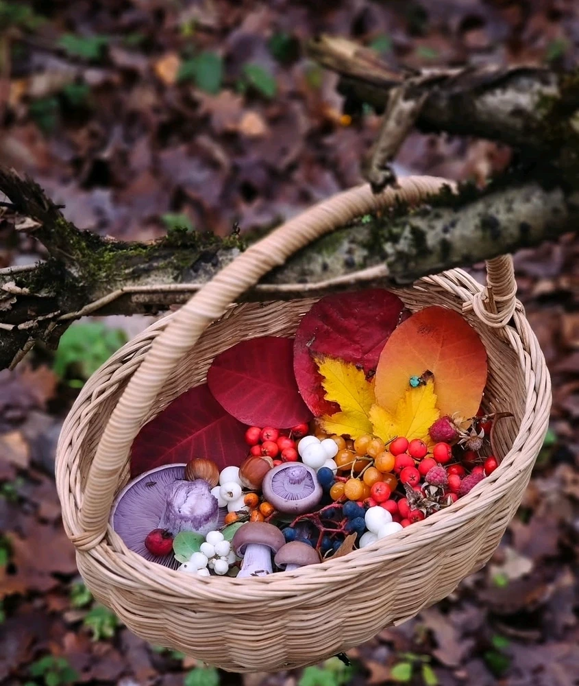 Image uploaded by 🔆🥨🔅Koffy🔅🌰🔆