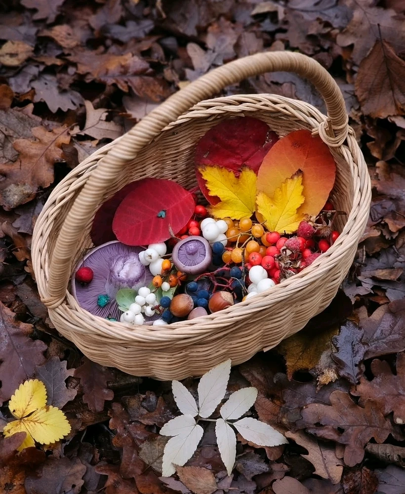 Image uploaded by 🔆🥨🔅Koffy🔅🌰🔆